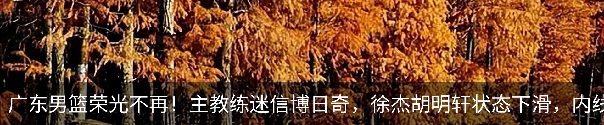 行业资讯